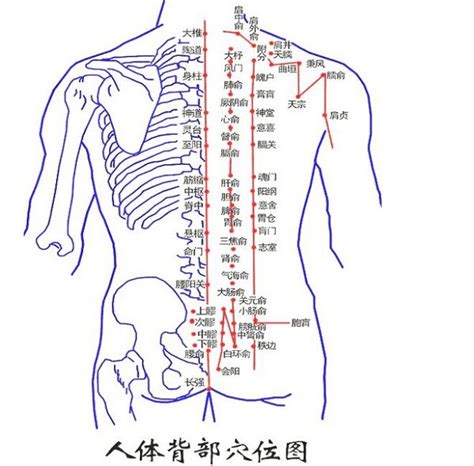 脊椎上有痣|后背有痣代表什么图解 后背有痣代表什么